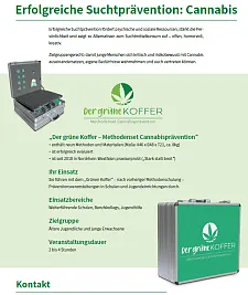 Symbolbild für den grünen Koffer