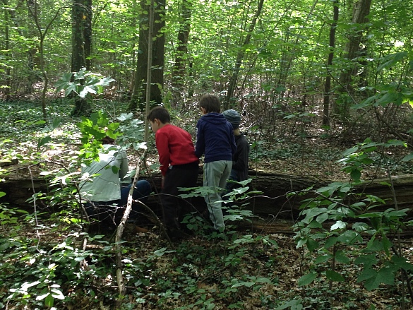 Kinder im Wald untersuchen den Boden