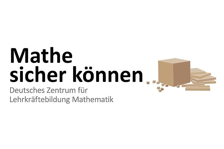 Symbolbild der DZLM-Website Mathe sicher können