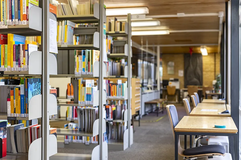 Blick in die Regale der LIS-Bibliothek