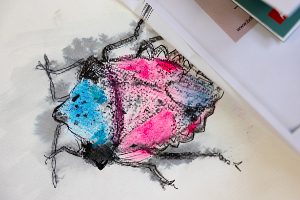 Workshop Insekten