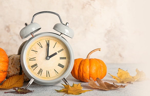 Wecker zwischen Herbstlaub und Kürbissen