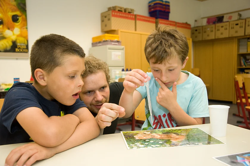 Bild 5 Haus der kleinen Forscher, Kinder versiegeln Bild