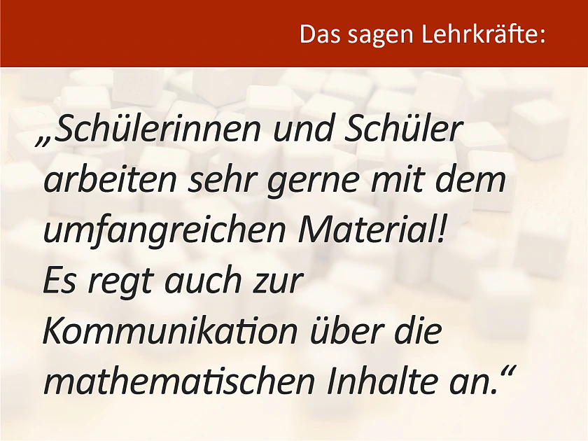 Zitat einer Lehrkraft über das MSK-Programm