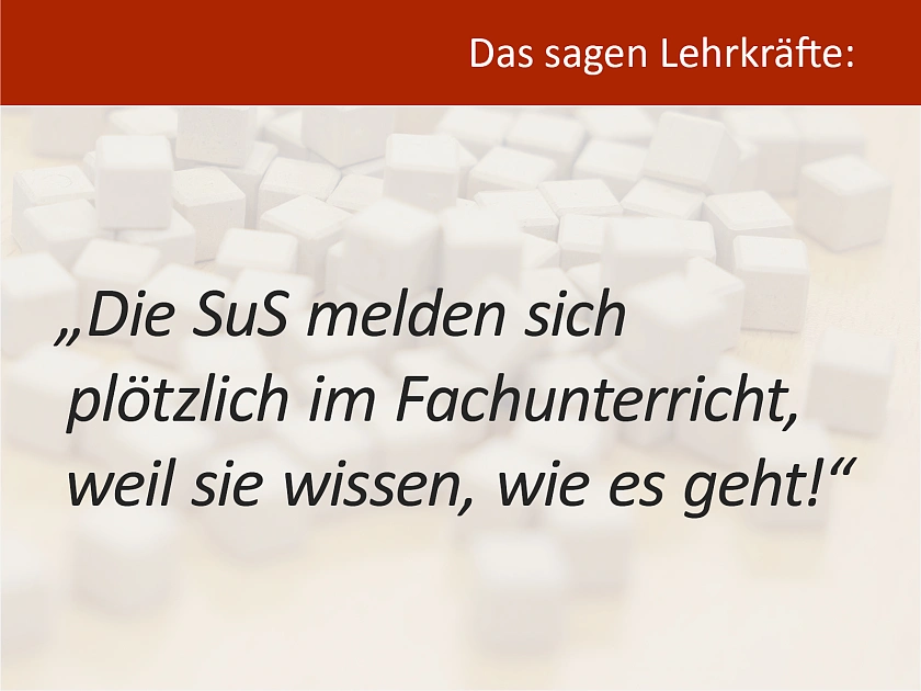 Zitat einer Lehrkraft über das MSK-Programm