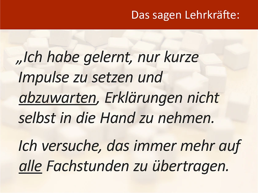 Zitat einer Lehrkraft über das MSK-Programm