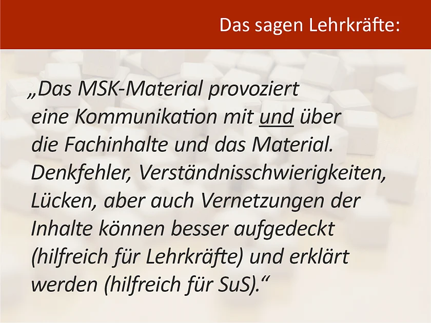 Zitat einer Lehrkraft über das MSK-Programm