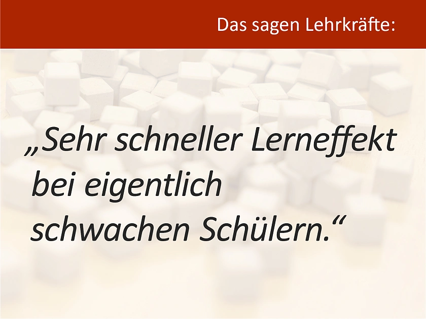 Zitat einer Lehrkraft über das MSK-Programm
