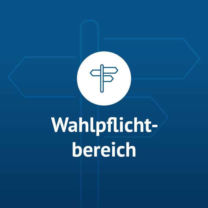 Wahlpflichtbereich