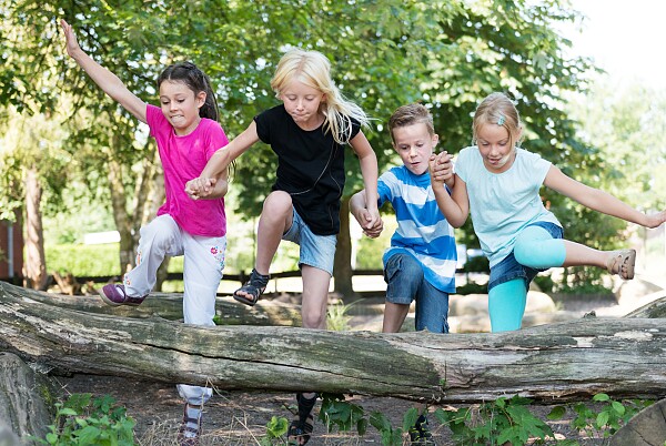 Sport - Bewegung, Spiel und Wettkampf 