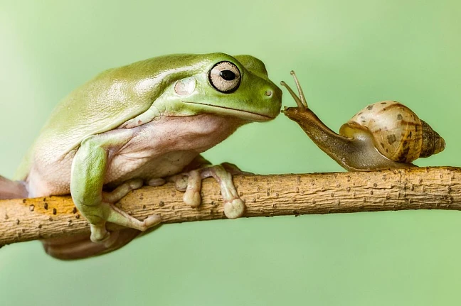 Wild und bunt | 05.05.