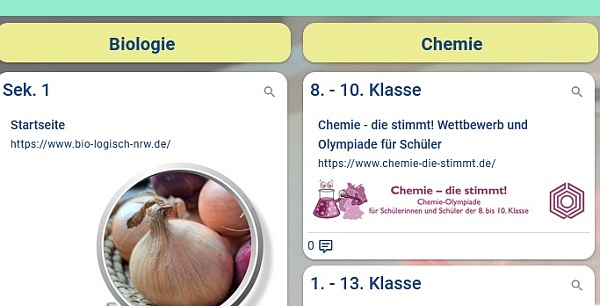 Eine Taskcard als Schema, nicht lesbar