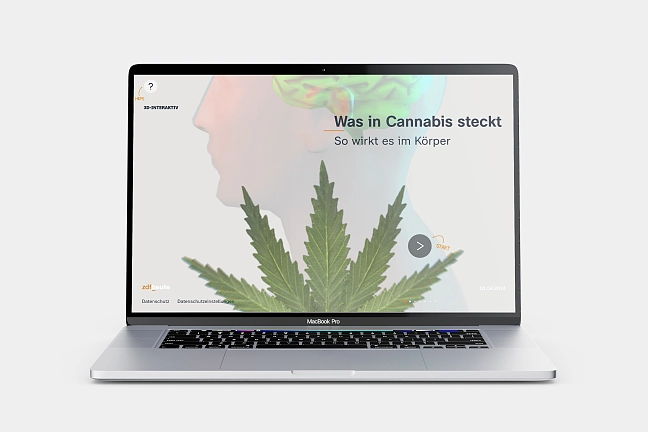 Laptop zeigt Cannabis-Video