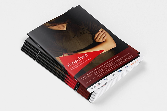 Broschüre Hinsehen