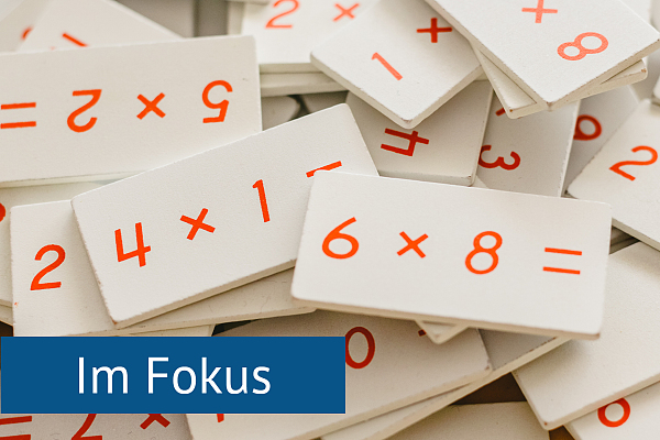 Angebote für den Mathematikunterricht