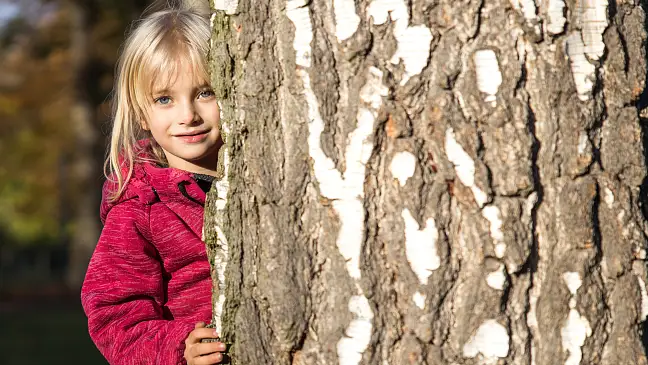 Mädchen versteckt sich hinter Baum