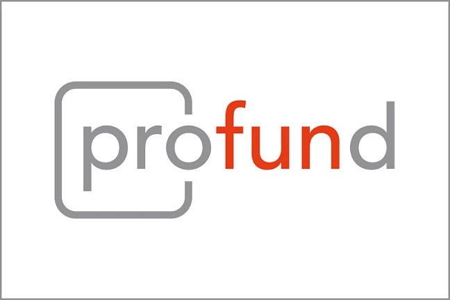 Logo profund