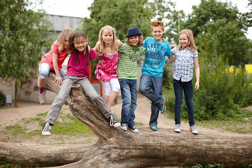 Grundschulkinder spielen auf einem alten Baum