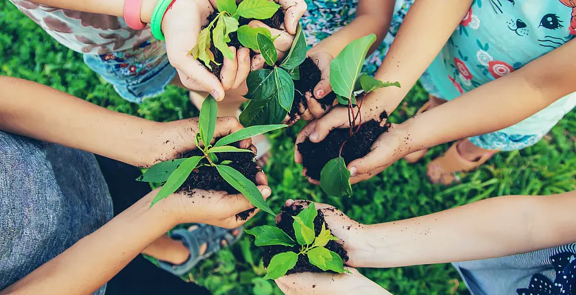 Kinderhände mit Pflanzen