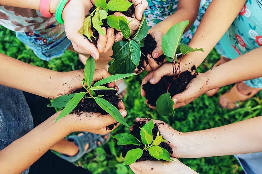 Kinderhände mit Pflanzen