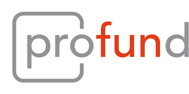 Logo Projekt fachdidaktische Unterstützung digital